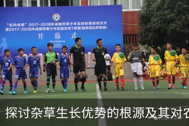 探讨杂草生长优势的根源及其对农作物的影响